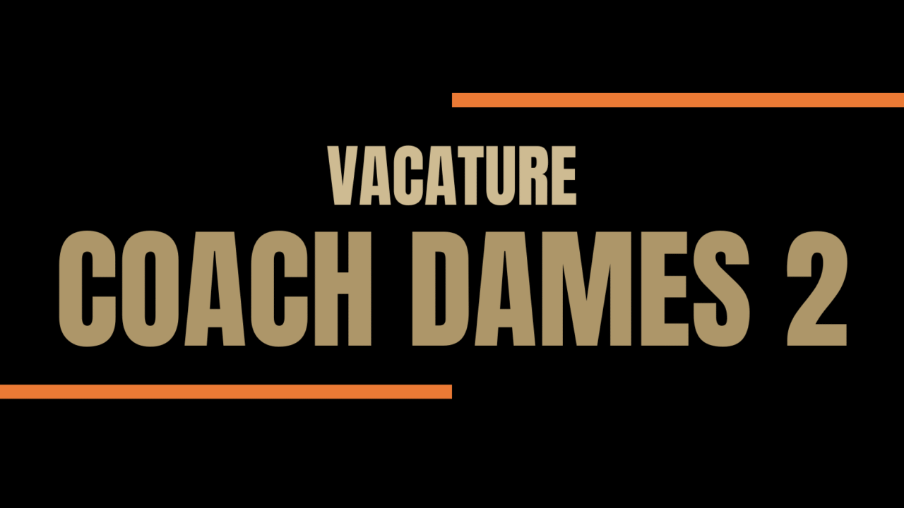 VACATURE COACH DAMES 2